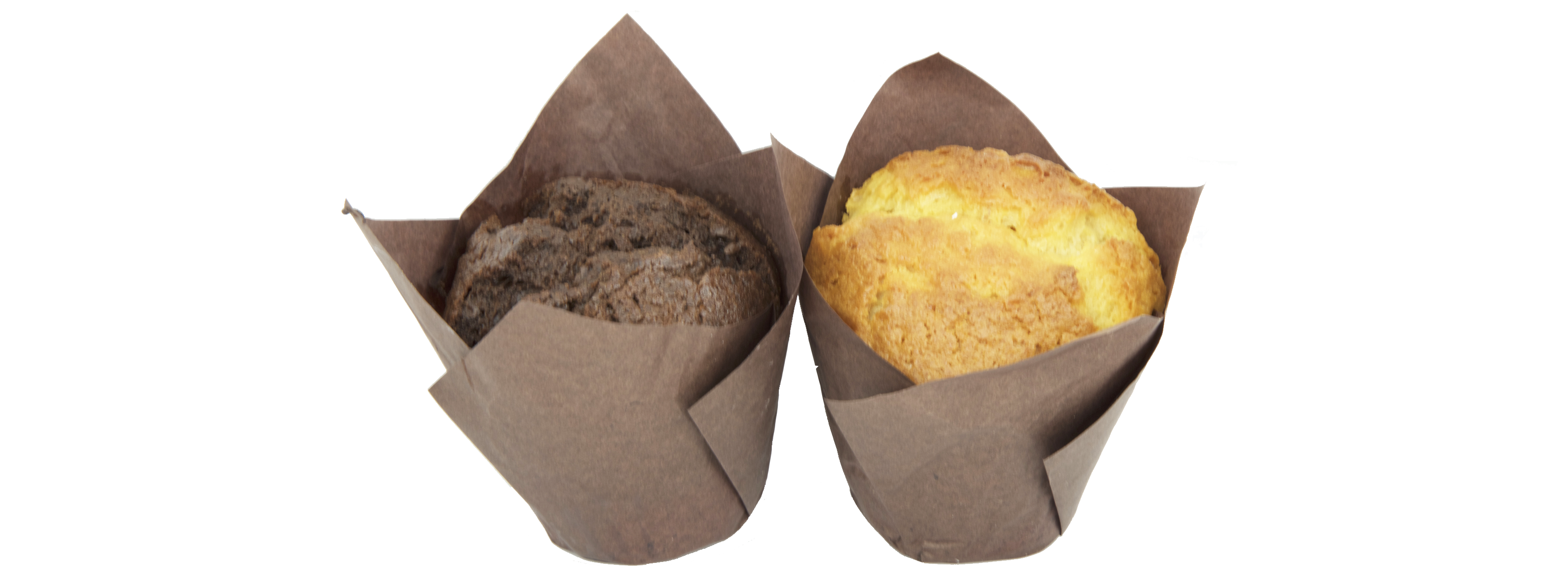 muffin